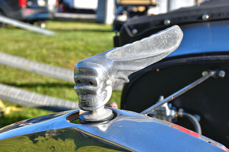 Close-up of a vintage car hood ornament shaped like a skull with wings, mounted on a shiny surface.