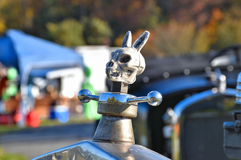 A decorative hood ornament shaped like a skull with rabbit ears, mounted on a vintage vehicle.